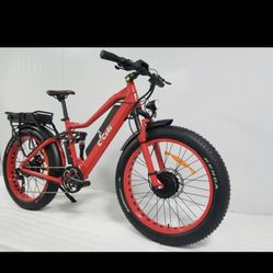 E-cell e-bike