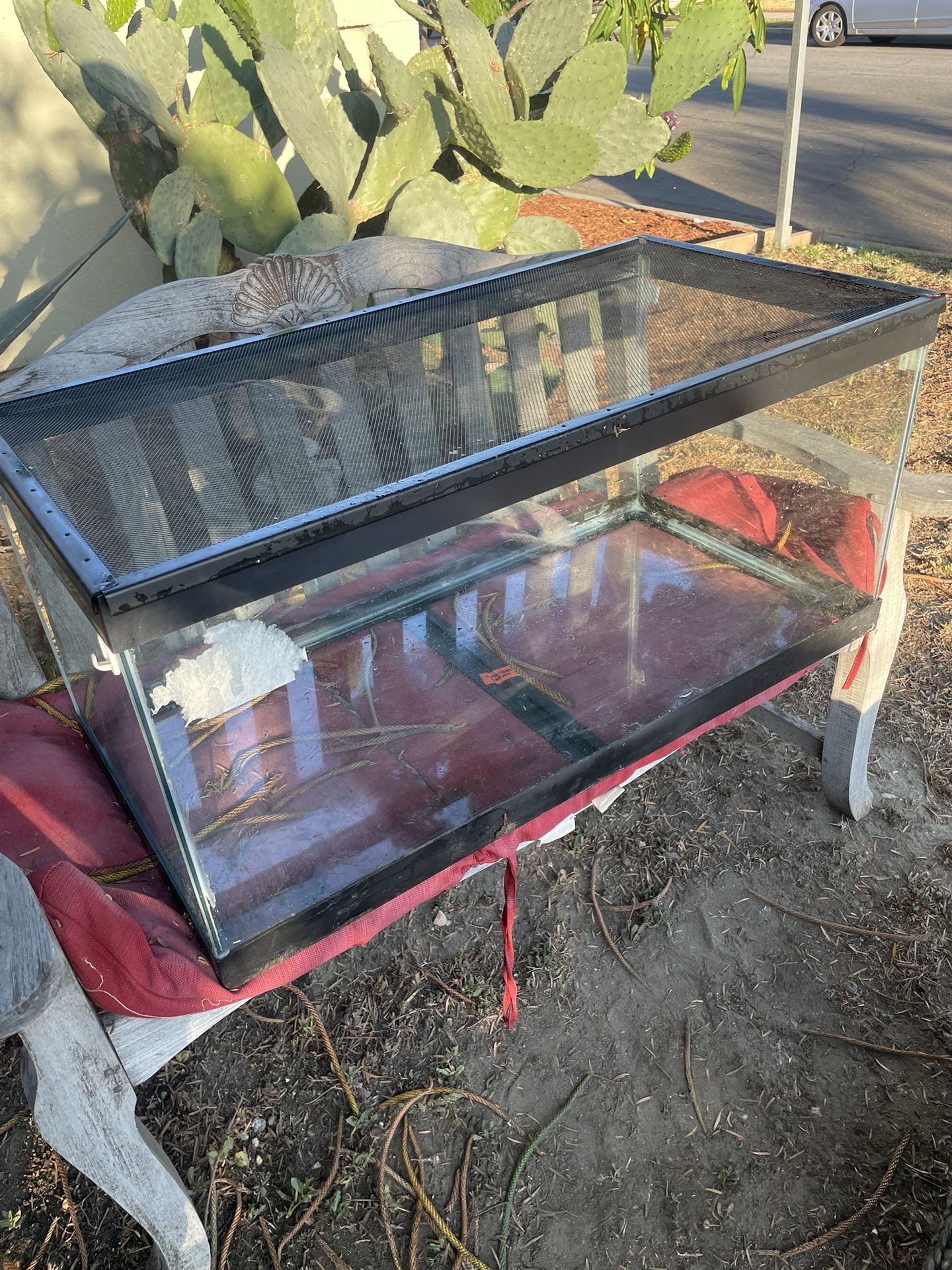 40 Gal Terrarium