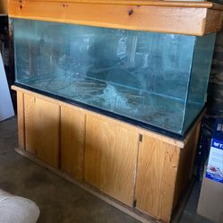 fish pond 150 Gallons 