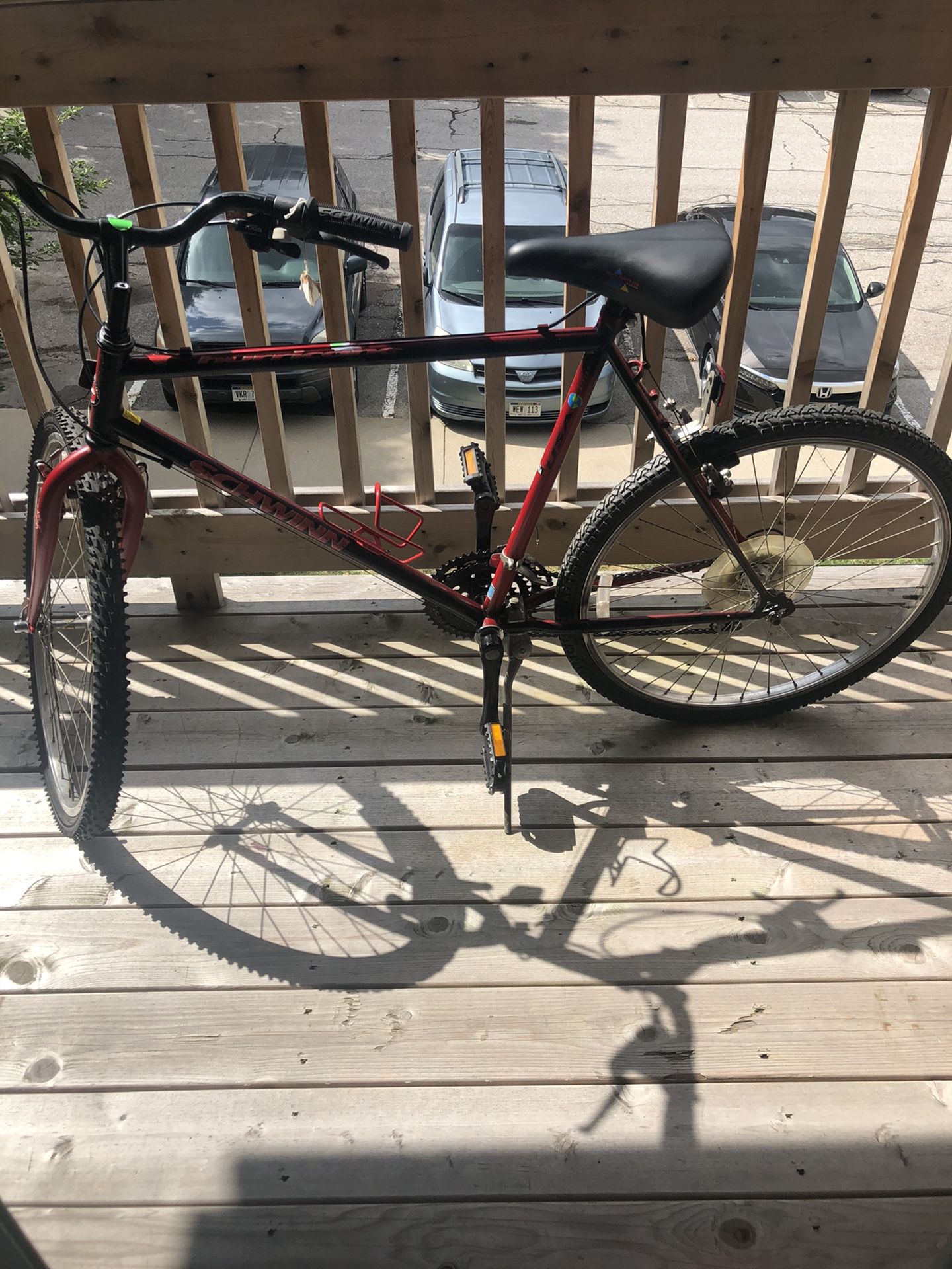 Adults bicycle