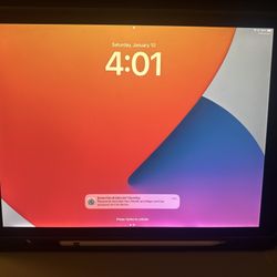 Apple iPad 12.9 (2nd generation)(256 GB) and Apple Pen