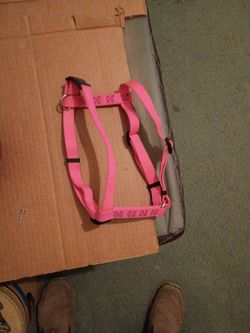 Adjustable pink dog collar