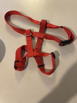 XL Dog Harness