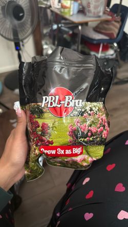 PBL BRA