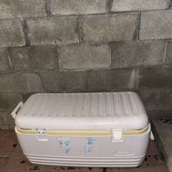 Cooler