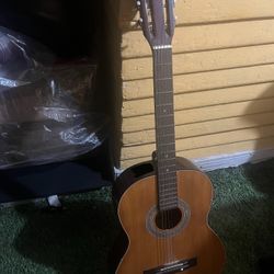 acoustic guitar