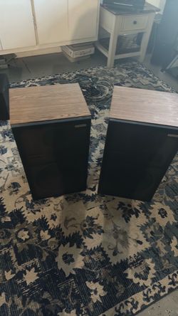 Pioneer 12 inch woofer loudspeakers