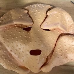 Adult Turkey Or Chicken Mask