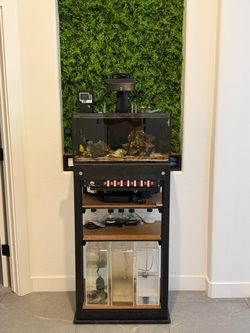 Saltwater Reef Aquarium Setup with Stand