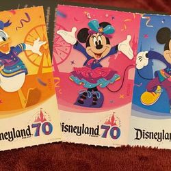3 x Disneyland Tixs 