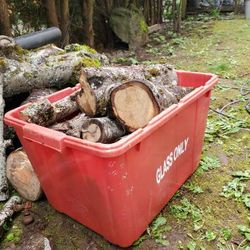Fire wood