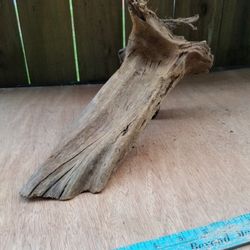 Malaysian driftwood , Aquascaping,  Discus, Aquarium,  Fish Tank