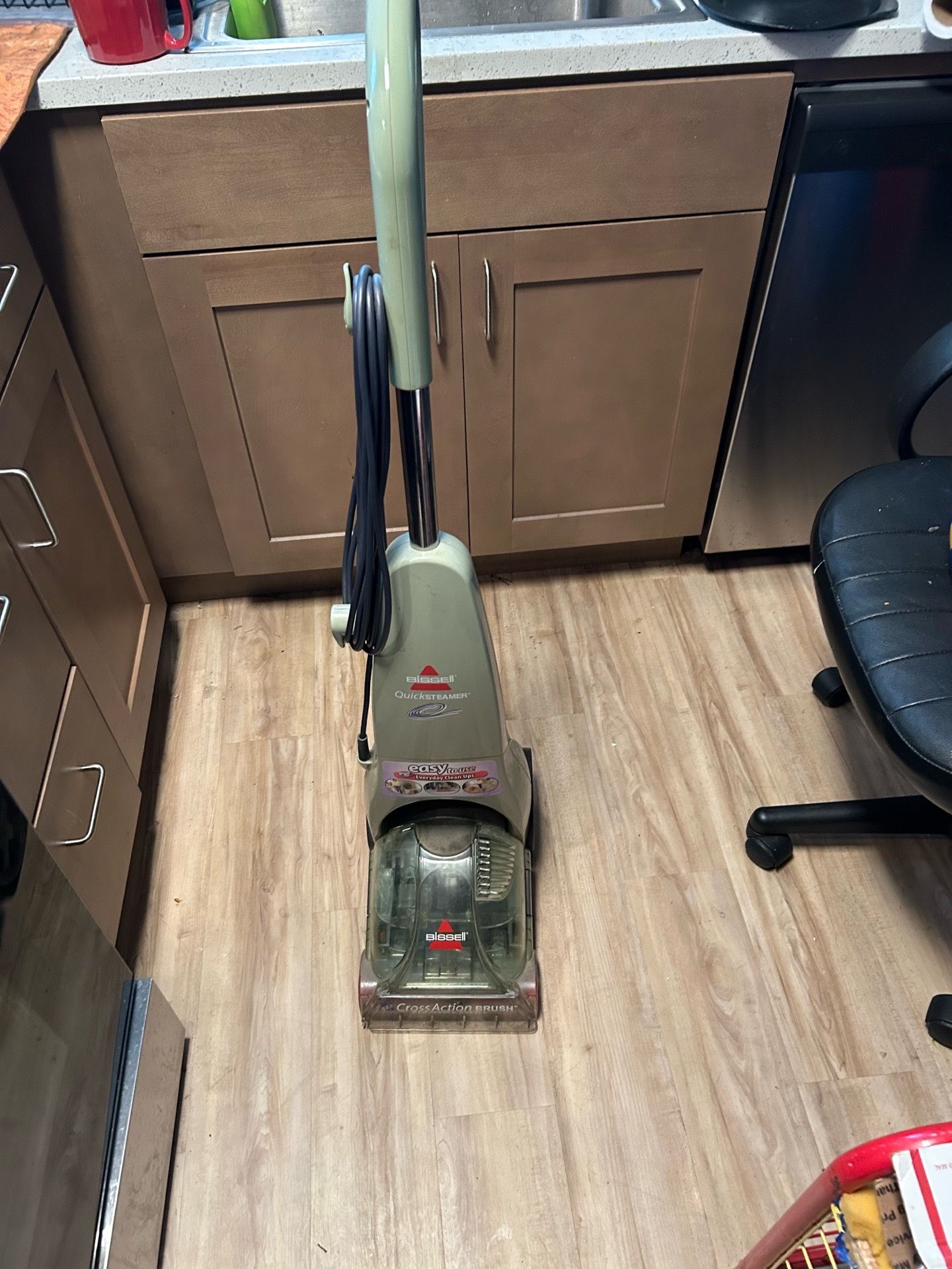 Bissell QuickSteamer Carpet Cleaner
