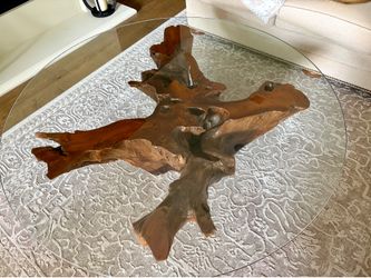 Coffee Table - Live Edge Tree Root