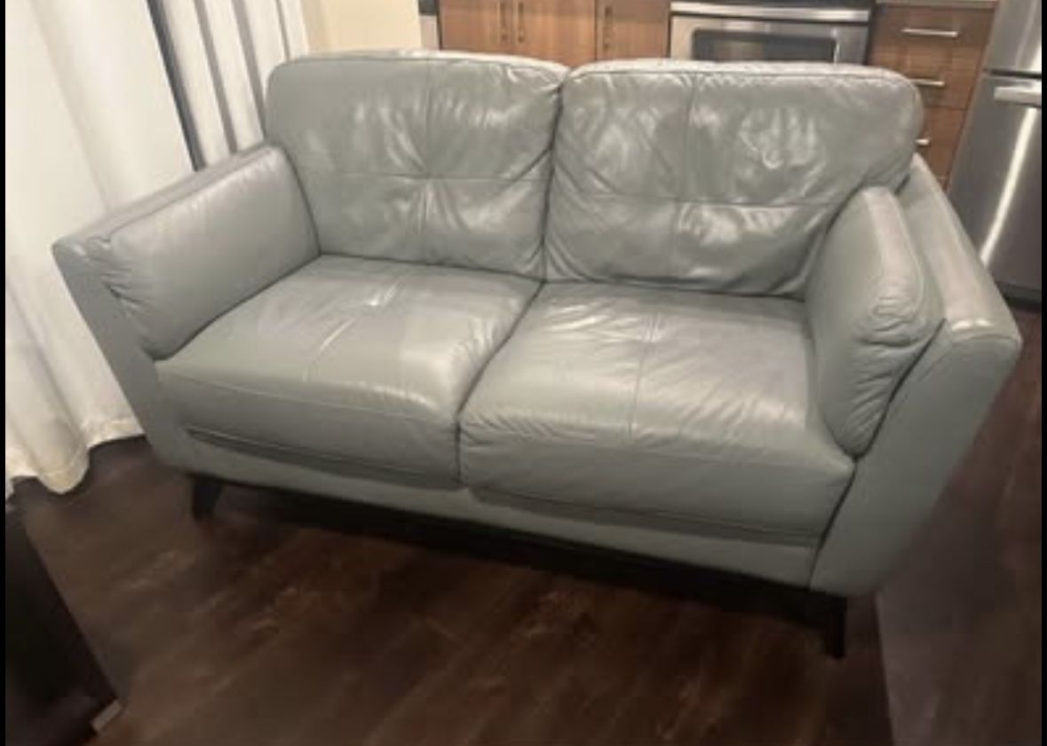 Blue Leather Loveseat Couch
