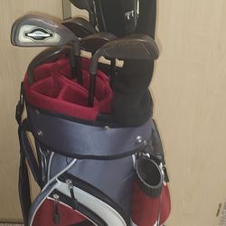 Complete 11 Club Callaway/TaylorMade Golf Set w Bag