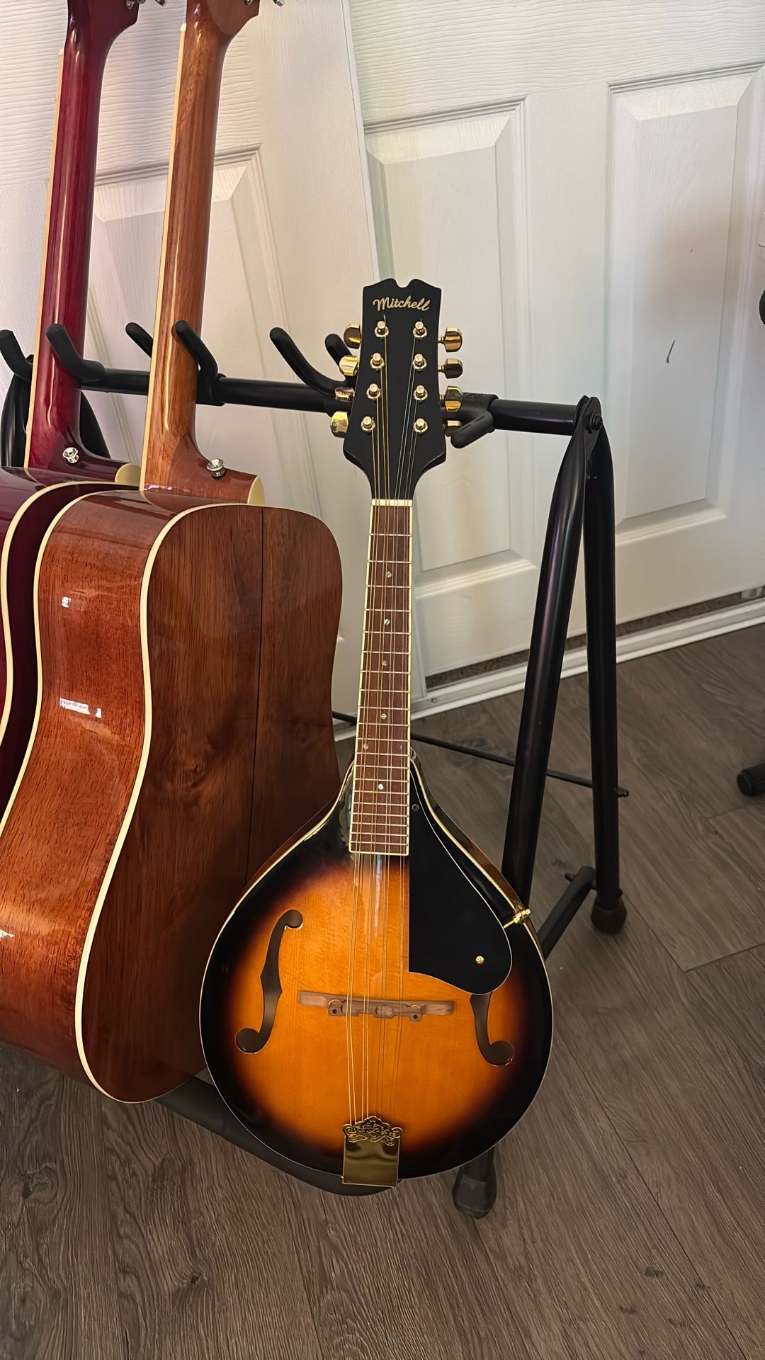 Brand New Mandolin - Mitchell AM100VS A-Style