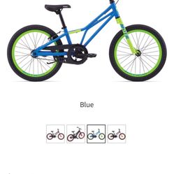20” Giant Bike 