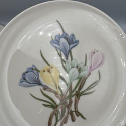 Franciscan China Pattern Sierra Lot Of 3 Bread & Butter Plate S