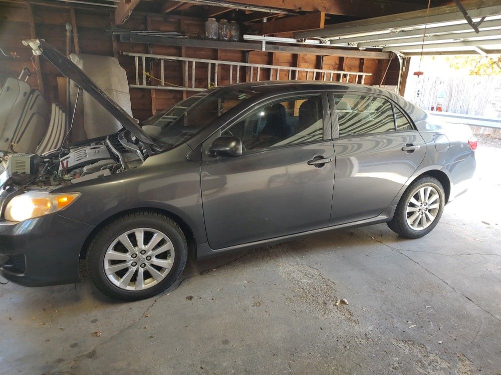 2009 Toyota Corolla