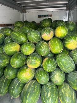Organic Watermelon