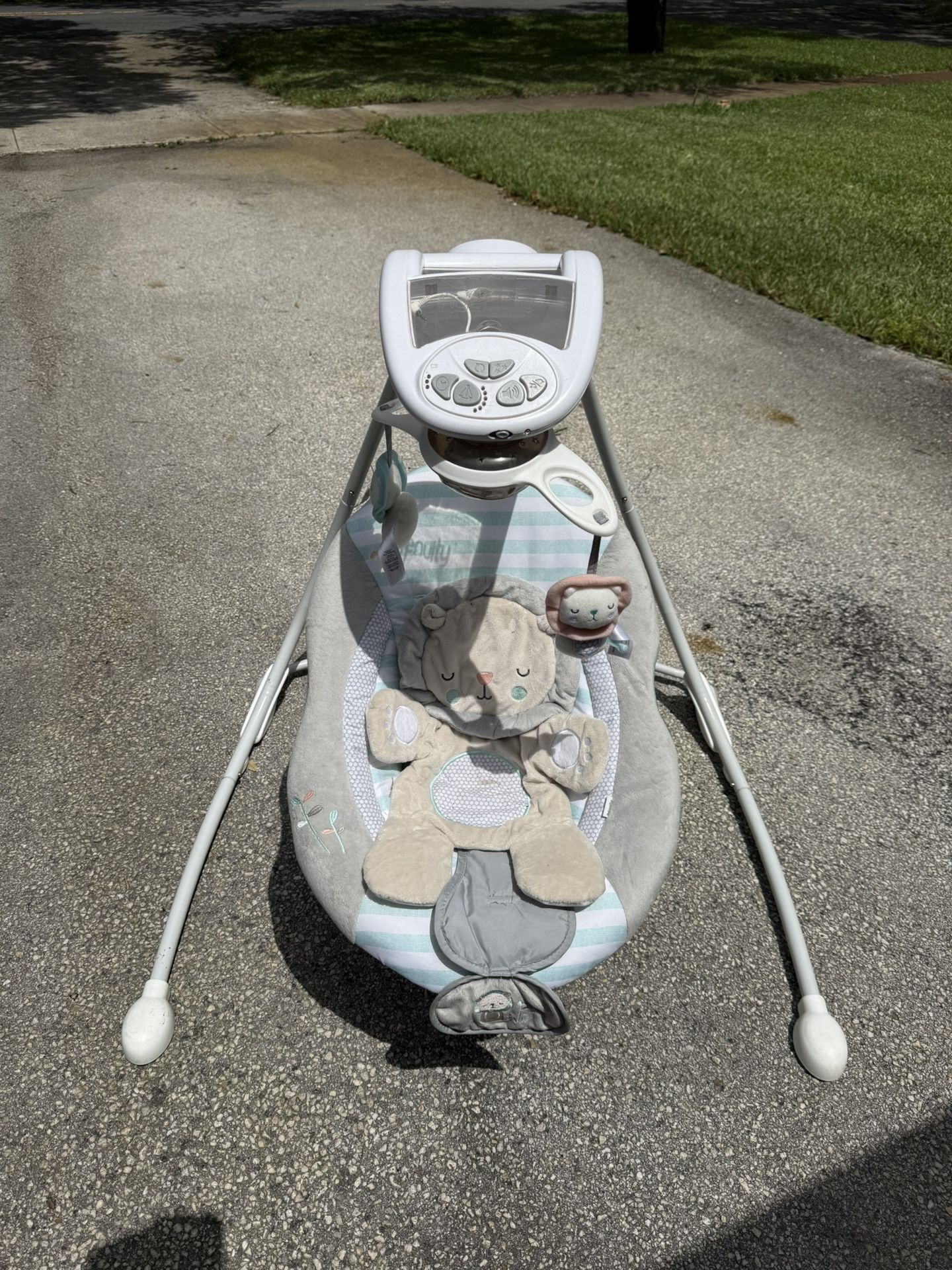 Baby Swing
