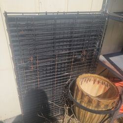 Kennel 