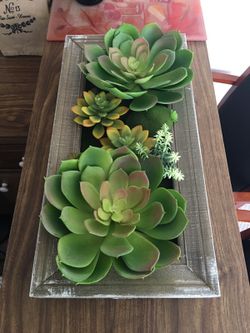 Large artificial plants with real wood $30