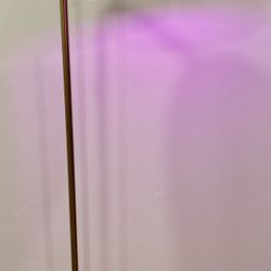 Gold Floor Lamp
