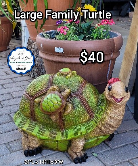Large Family Turtle
