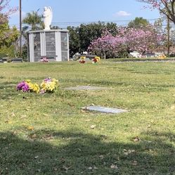 Plot for 2 People / Terreno En Cemeterio