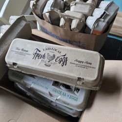 Empty Egg Cartons 
