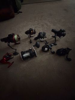 7 reels, (4 spinning and 3 bait caster)