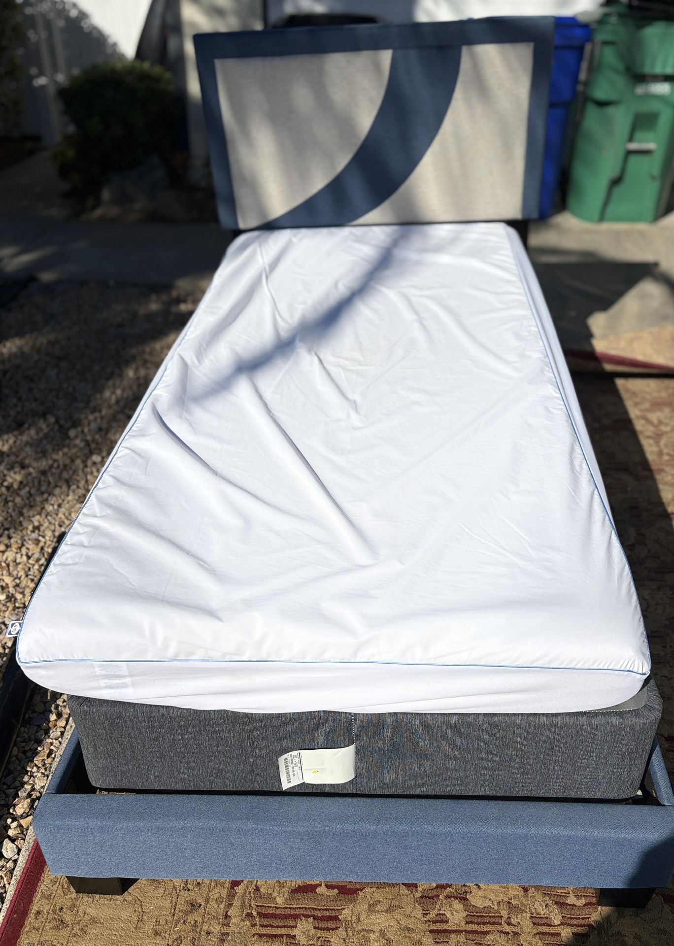 Clean Single Bed + Box Spring + Mattress — Only $45