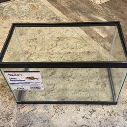 Fish Tank 