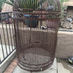 Bird Cage