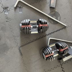 Bowflex 552 Adjustable Dumbbells 