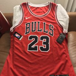 Jordan Jersey Michael Jordan icon edition swingman (Chicago Bulls) Nike Connected Jersey Brand new size 2XL Asking $160…OBO...