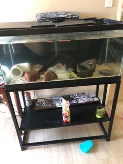 50 gal fish tank