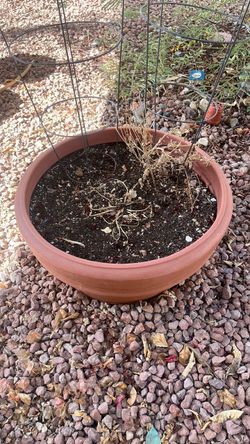 2 2ft plastic garden pots