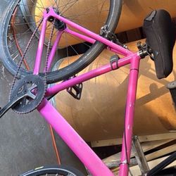 Frame And Carbon Fork 