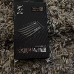 Msi Spatium M480 Pro 1tb