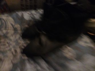 Instead small blk boots