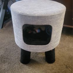  Cat Condo 