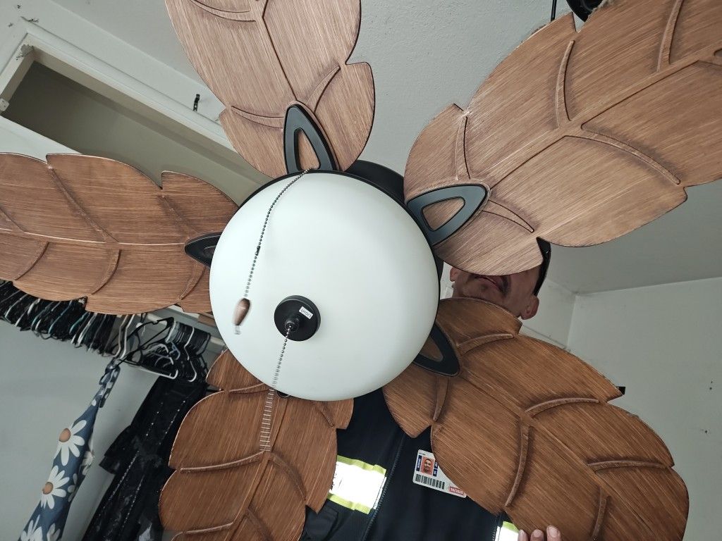Beautiful Fan