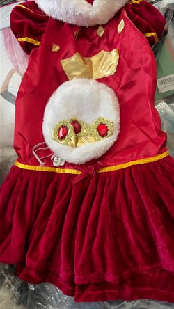 Halloween pet costume large