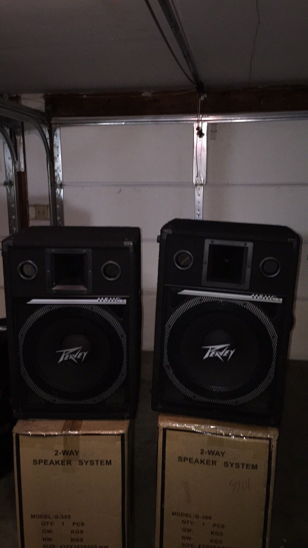 Peavey 15 inch floor monitors 600 watts