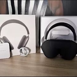 Apple max headphones