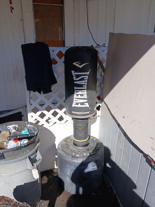 Everlast Punching Bag
