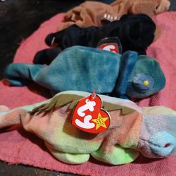 Iggy, Rainbow, Cubbie, Blackie. Beanie Babies 